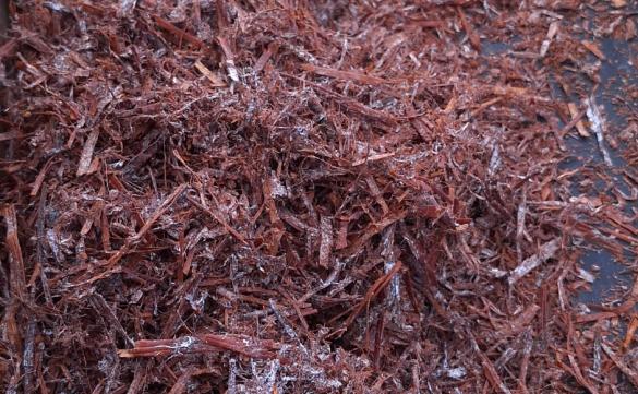 Christiaens Group - UN Sustainability Development Goals