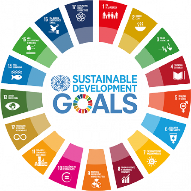 Sustainability isn't just a checkbox